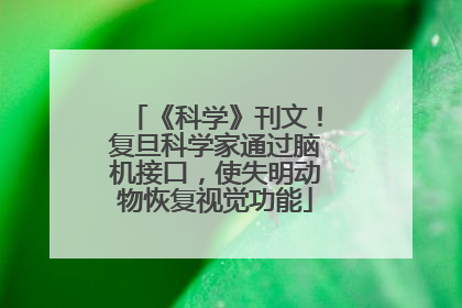 《科学》刊文！复旦科学家通过脑机接口，使失明动物恢复视觉功能