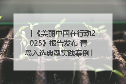 《美丽中国在行动2025》报告发布 青岛入选典型实践案例