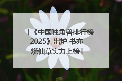 《中国独角兽排行榜2025》出炉 书亦烧仙草实力上榜