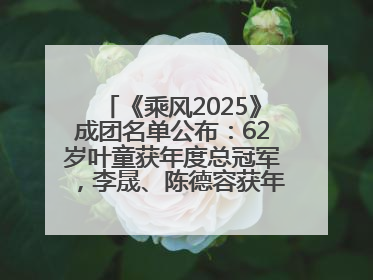 《乘风2025》成团名单公布：62岁叶童获年度总冠军，李晟、陈德容获年度高光人物
