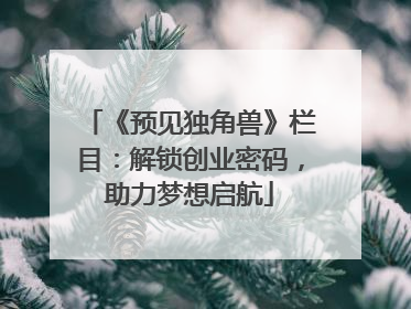 《预见独角兽》栏目：解锁创业密码，助力梦想启航