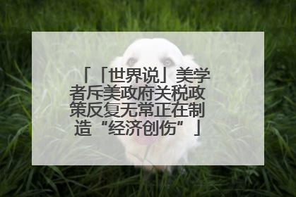 「世界说」美学者斥美政府关税政策反复无常正在制造“经济创伤”