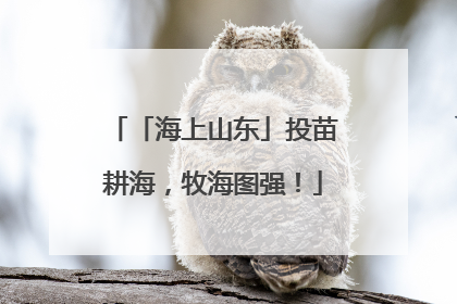 「海上山东」投苗耕海，牧海图强！