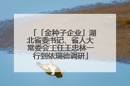 「金种子企业」湖北省委书记、省人大常委会主任王忠林一行到依瑞德调研