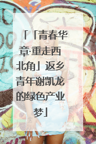 「青春华章·重走西北角」返乡青年谢凯龙的绿色产业梦