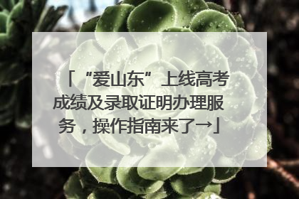 “爱山东”上线高考成绩及录取证明办理服务，操作指南来了→