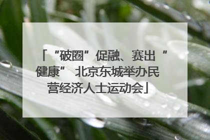 “破圈”促融、赛出“健康” 北京东城举办民营经济人士运动会