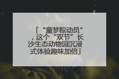 “童梦粽动员”，这个“双节”长沙生态动物园沉浸式体验趣味加倍