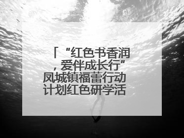 “红色书香润，爱伴成长行”凤城镇福蕾行动计划红色研学活动圆满结束