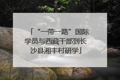 “一带一路”国际学员与西藏干部到长沙县湘丰村研学