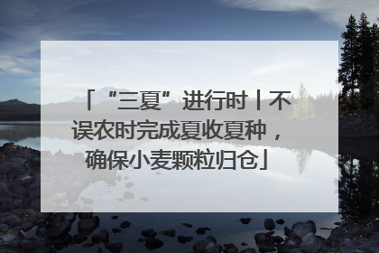 “三夏”进行时丨不误农时完成夏收夏种，确保小麦颗粒归仓