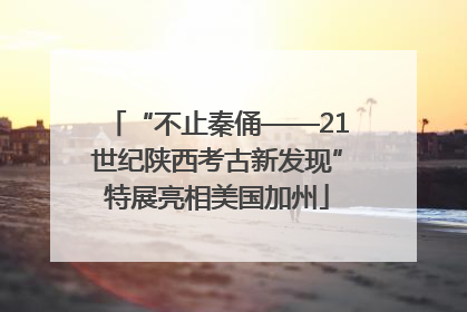 “不止秦俑——21世纪陕西考古新发现”特展亮相美国加州