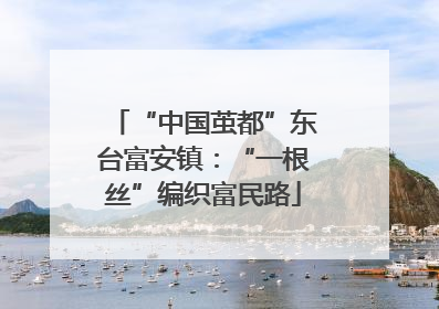 “中国茧都”东台富安镇：“一根丝”编织富民路