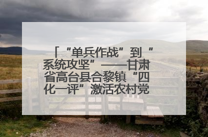 “单兵作战”到“系统攻坚”——甘肃省高台县合黎镇“四化一评”激活农村党员管理新引擎