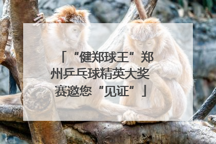 “健郑球王”郑州乒乓球精英大奖赛邀您“见证”