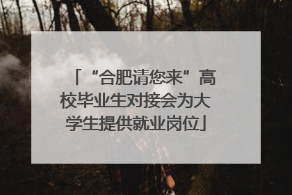 “合肥请您来”高校毕业生对接会为大学生提供就业岗位