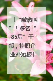 “嗷嗷叫”！多名“85后”干部，挂职企业补短板