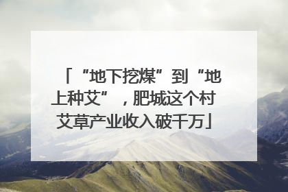 “地下挖煤”到“地上种艾”，肥城这个村艾草产业收入破千万