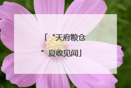 “天府粮仓”夏收见闻