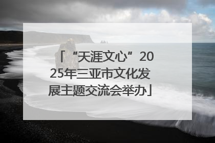 “天涯文心”2025年三亚市文化发展主题交流会举办