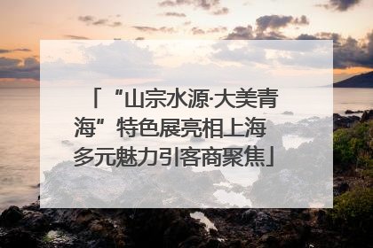“山宗水源·大美青海”特色展亮相上海 多元魅力引客商聚焦