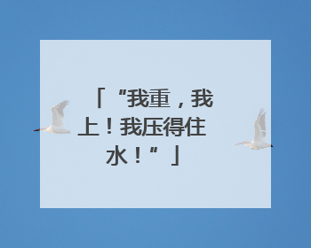 “我重，我上！我压得住水！”