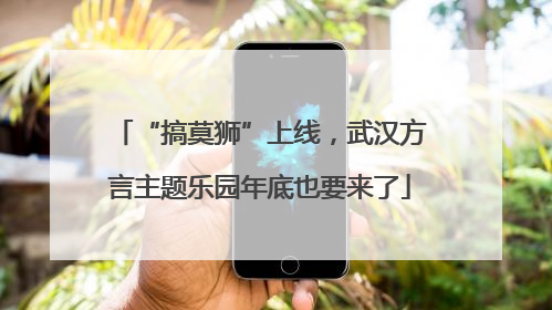 “搞莫狮”上线，武汉方言主题乐园年底也要来了
