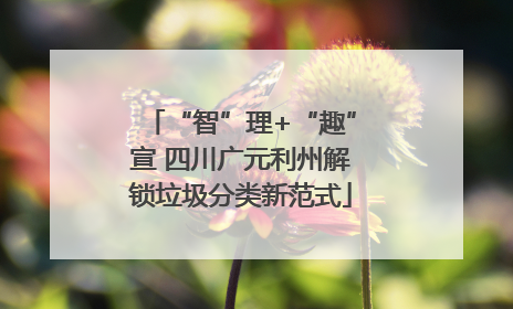 “智”理+“趣”宣 四川广元利州解锁垃圾分类新范式