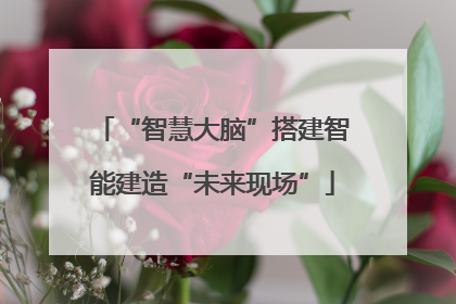 “智慧大脑”搭建智能建造“未来现场”