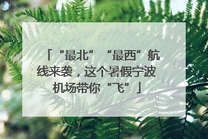 “最北”“最西”航线来袭，这个暑假宁波机场带你“飞”