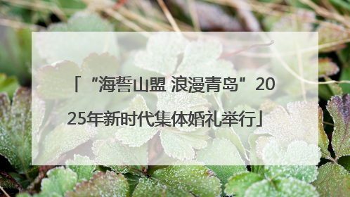 “海誓山盟 浪漫青岛”2025年新时代集体婚礼举行