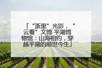 “浙里”光影，“云看”文博 平湖博物馆：山海相约，穿越平湖的前世今生