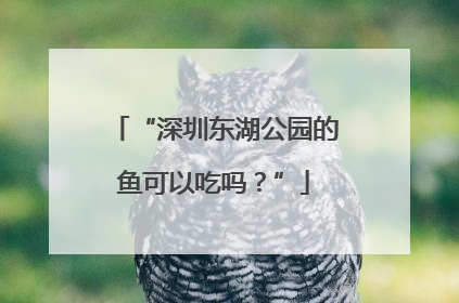 “深圳东湖公园的鱼可以吃吗？”