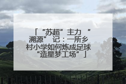 “苏超”主力 “溯源” 记：一所乡村小学如何炼成足球 “造星梦工场”