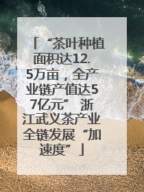 “茶叶种植面积达12.5万亩，全产业链产值达57亿元” 浙江武义茶产业全链发展“加速度”