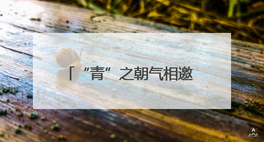 “青”之朝气相邀 “海”之胸怀奔赴——青海省招商引资上海推介会现场见闻