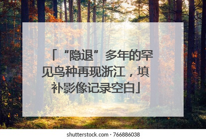 “隐退”多年的罕见鸟种再现浙江，填补影像记录空白
