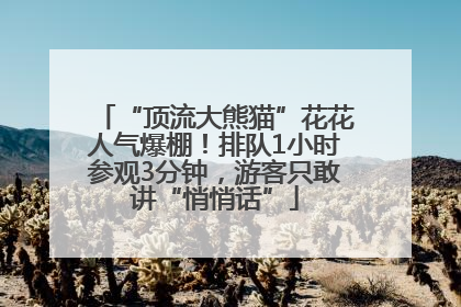 “顶流大熊猫”花花人气爆棚！排队1小时参观3分钟，游客只敢讲“悄悄话”