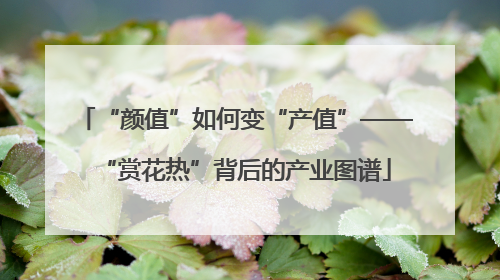“颜值”如何变“产值”——“赏花热”背后的产业图谱