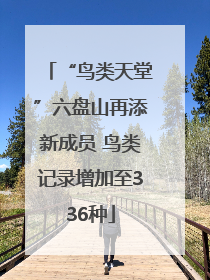 “鸟类天堂”六盘山再添新成员 鸟类记录增加至336种