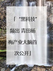 “黑科技”频出 青田杨梅产业大脑首次公开