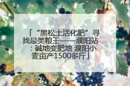 “黑松土活化肥”寻找最美粮王——濮阳站：碱地变肥地 濮阳小麦亩产1500多斤