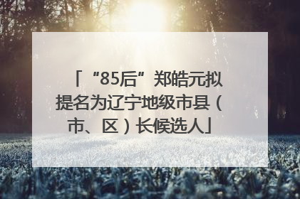 “85后”郑皓元拟提名为辽宁地级市县（市、区）长候选人