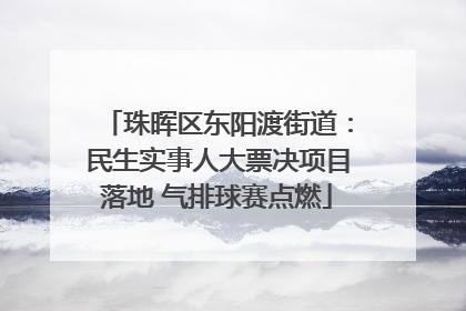 珠晖区东阳渡街道：民生实事人大票决项目落地 气排球赛点燃