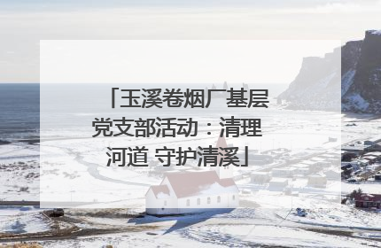 玉溪卷烟厂基层党支部活动：清理河道 守护清溪