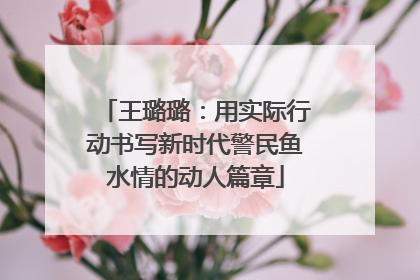 王璐璐：用实际行动书写新时代警民鱼水情的动人篇章