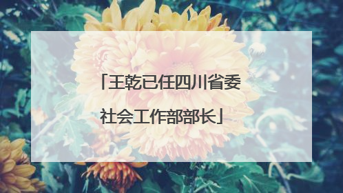 王乾已任四川省委社会工作部部长