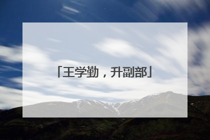 王学勤，升副部