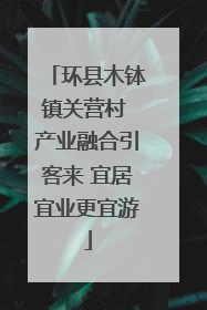 环县木钵镇关营村 产业融合引客来 宜居宜业更宜游