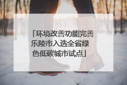 环境改善功能完善 乐陵市入选全省绿色低碳城市试点